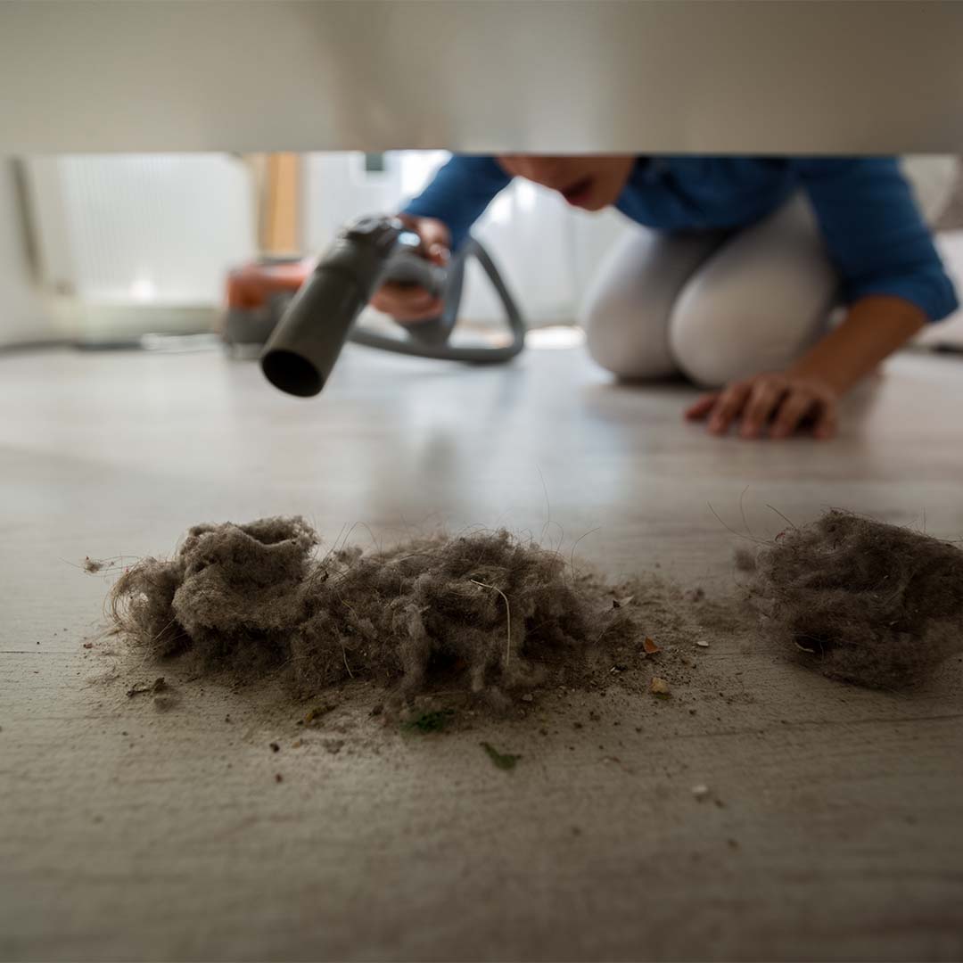 Person vacuuming up dust under furniture
