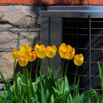 ac maintenance, ac maintenance spring, spring ac maintenance, air conditioner, air conditioning, air conditioning maintenance, air conditioner maintenance